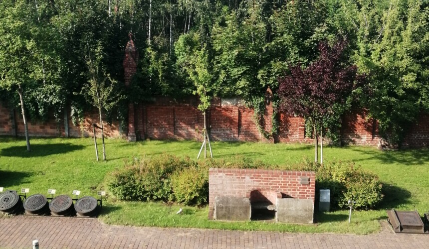Wzorcowy ogród deszczowy powstanie w Muzeum Wodociągów Wzorcowy ogród deszczowy powstanie w Muzeum Wodociągów
