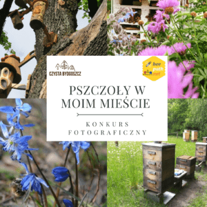 Konkurs fotograficzny „Pszczoły w moim mieście”