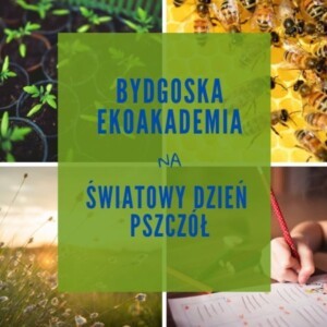 Pszczele wyzwania dla uczniów z Bydgoszczy
