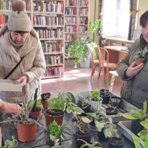 Wymień roślinę w bibliotece