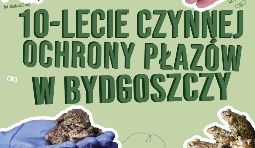 Dziesięć lat ratowania płazów. Wystawa na placu Wolności