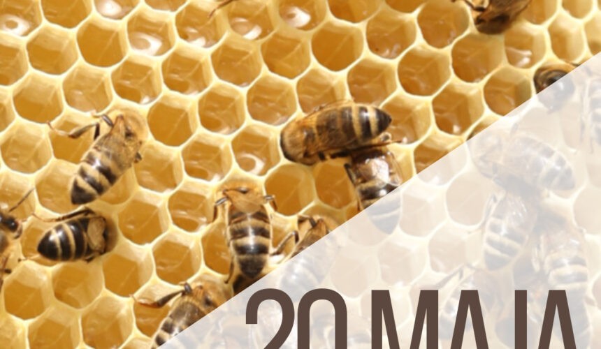 Światowy Dzień Pszczół 2022 Światowy Dzień Pszczół 2022