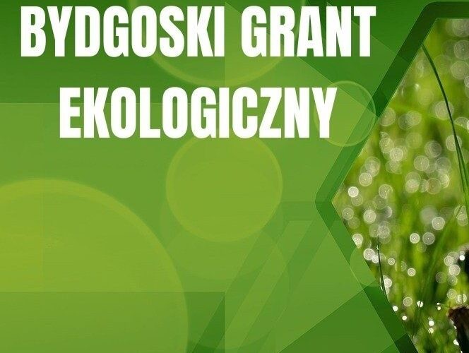Bydgoski Grant Ekologiczny 2024 – nabór wniosków Bydgoski Grant Ekologiczny 2024 – nabór wniosków