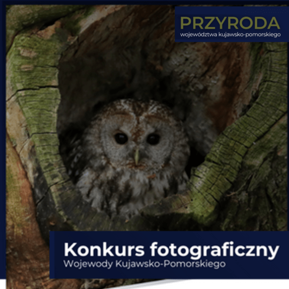 Konkurs fotograficzny „Przyroda województwa kujawsko-pomorskiego”