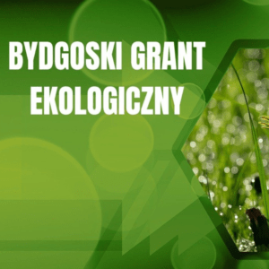 Bydgoskie Granty Ekologiczne edycja 2024 PRZYZNANE!