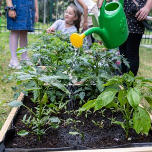 Ekoprojekty – wyniki majowego naboru wniosków